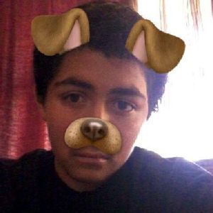 Meet your Posher, Noel